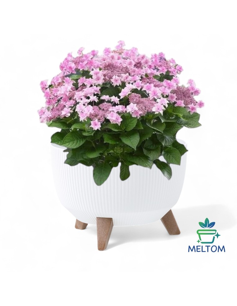 Vasque ronde rainurée L Ø40 × 25 cm, 21 L – Blanc | Töpferkönig