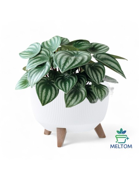 Cuenco para plantas redondo estriado M Ø29 × 23 cm, 9,3 L – Blanco | Töpferkönig
