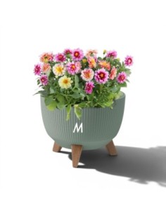 Cuenco para plantas redondo estriado M Ø29 × 23 cm, 9,3 L – Verde | Töpferkönig