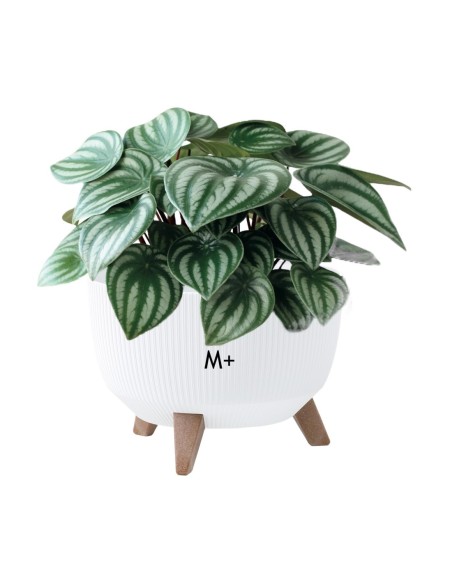 Pflanzschale rund gerillt M+ Ø33 × 23 cm, 12,4 L – Weiß | Töpferkönig
