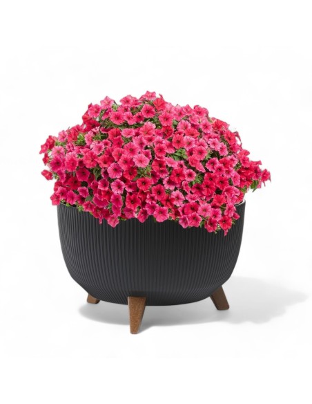 Plantenschaal rond geribbeld XL Ø47 × 27 cm, 31,5 L – Zwart | Töpferkönig