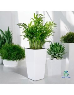 Fioriera alta 29 × 29 × 57 cm lucida, 40 L – Bianco | Töpferkönig 2