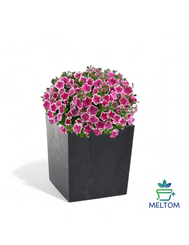 Bloempot vierkant XL 29 × 29 × 31 cm betonlook, 21 L – Betonzwart | Töpferkönig