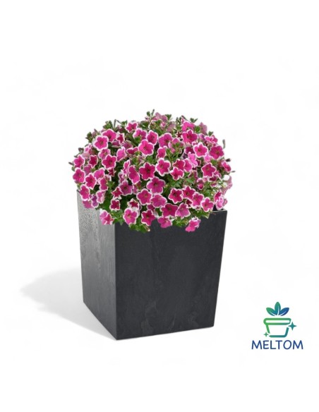 Bloempot vierkant XL 29 × 29 × 31 cm betonlook, 21 L – Betonzwart | Töpferkönig