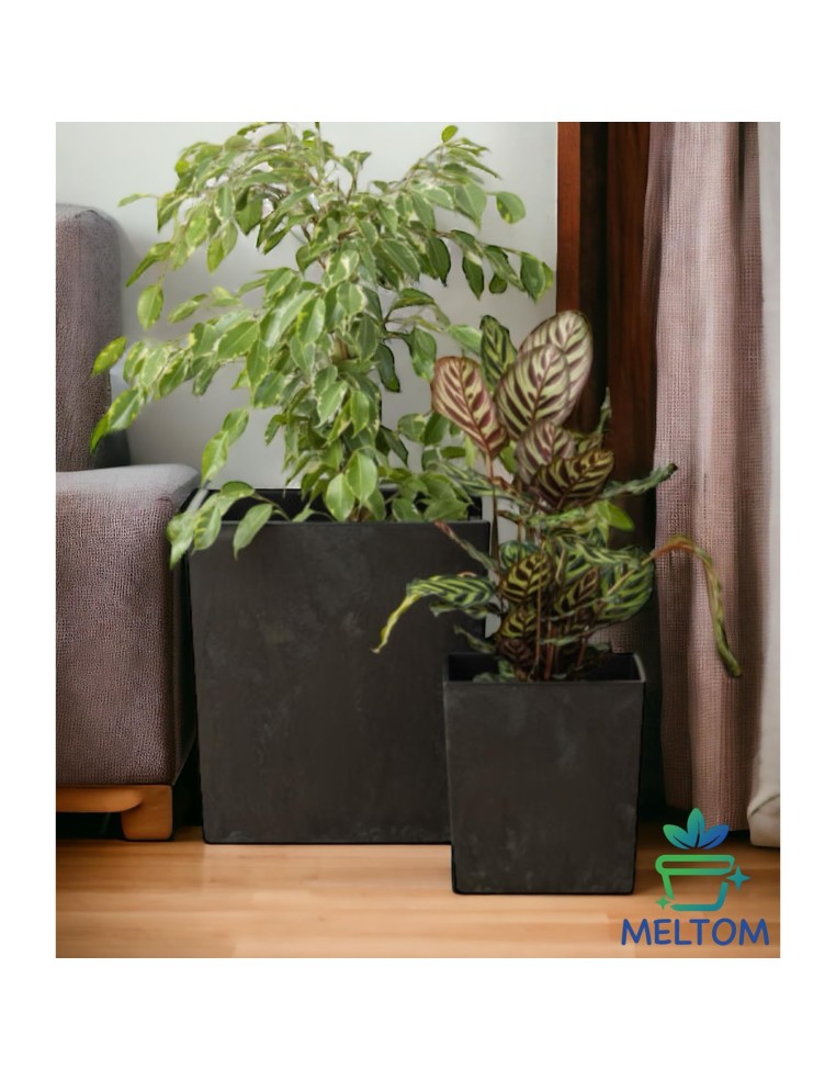 Maceta cuadrada XXL 39 × 39 × 42 cm efecto hormigón, 53 L – Negro hormigón | Töpferkönig