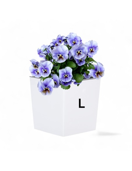 Pot carré L 24 × 24 × 26 cm brillant, 11,6 L – Blanc | Töpferkönig