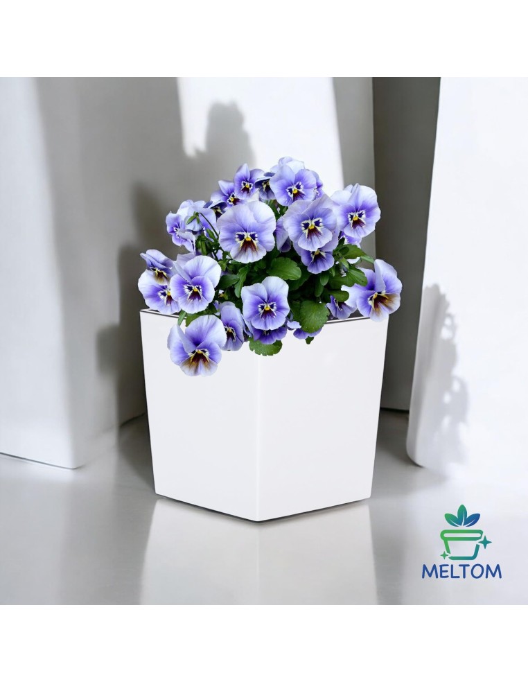 Bloempot vierkant L 24 × 24 × 26 cm hoogglans, 11,6 L – Wit | Töpferkönig