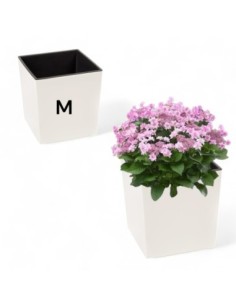 Pot carré M 19 × 19 × 20 cm brillant, 5,7 L – Crème | Töpferkönig