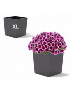 Blumentopf eckig XL 29 × 29 × 31 cm Hochglanz, 21 L – Anthrazit | Töpferkönig