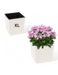 Blumentopf eckig XL 29 × 29 × 31 cm Hochglanz, 21 L – Creme | Töpferkönig