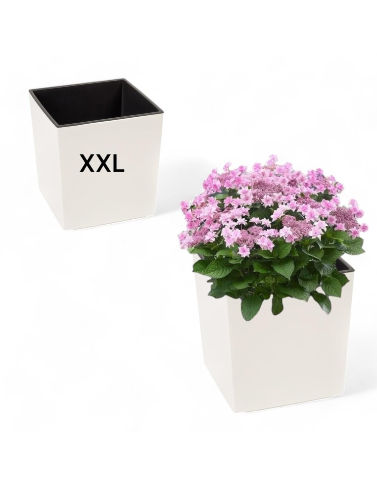 Maceta cuadrada XXL 39 × 39 × 42 cm brillante, 53 L – Crema | Töpferkönig