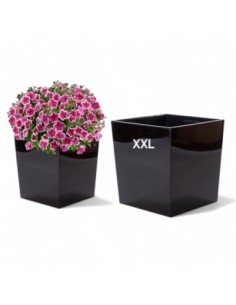 Bloempot vierkant XXL 39 × 39 × 42 cm hoogglans, 53 L – Zwart | Töpferkönig