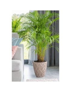 Maceta redonda con ondas 3D M Ø29 × 32 cm, 15,5 L – Topo | Töpferkönig 2