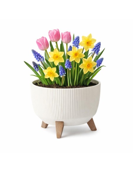 Pflanzschale rund gerillt M Ø29 × 23 cm, 9,3 L – Creme | Töpferkönig