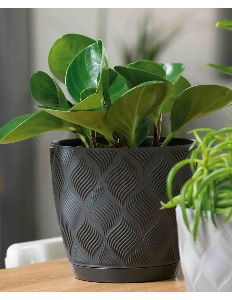 Cache-pot rond Ø13 × 12 cm à relief losange, 1,1 L – Anthracite | Töpferkönig