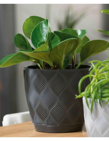 Sierpot rond Ø15 × 14 cm ruitreliëf, 1,8 L – Antraciet | Töpferkönig