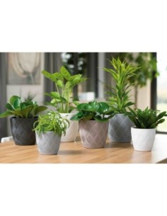 Cache-pot rond Ø23 × 21 cm à relief losange, 6 L – Anthracite | Töpferkönig 2