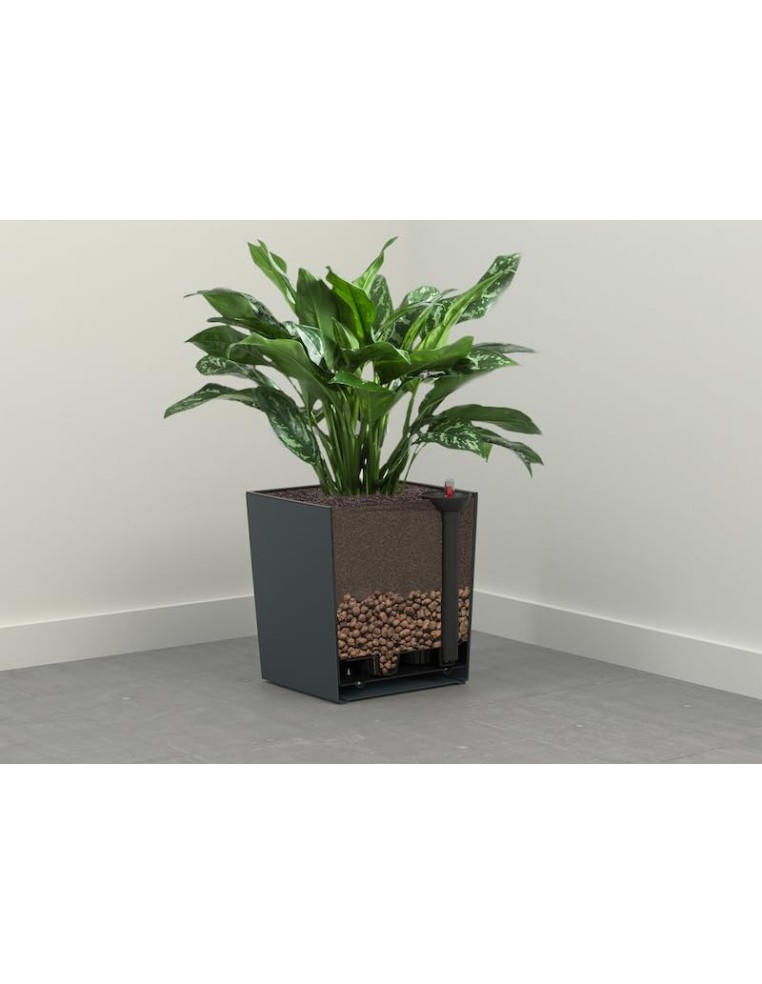 Système d'arrosage carré 35 × 35 cm avec indicateur de niveau d'eau | Töpferkönig