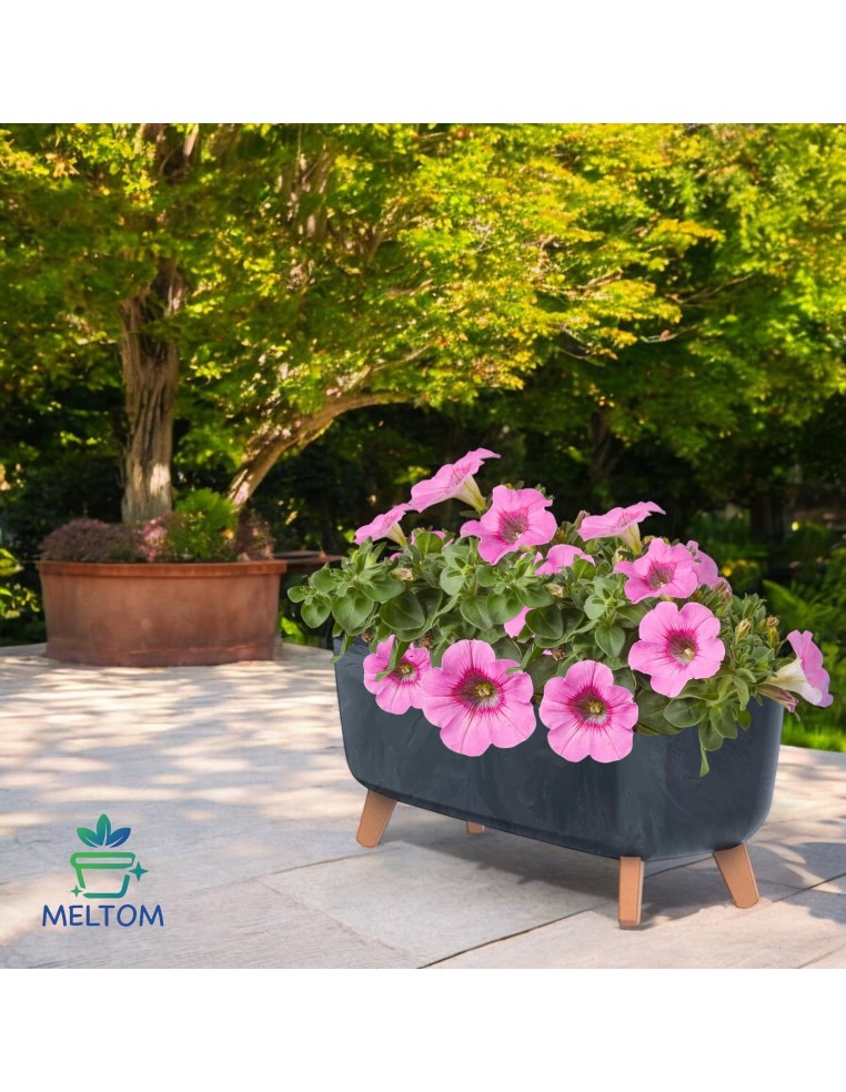 Pflanzschale mit Füßen 57 × 23 × 24 cm Beton-Optik, 19,5 L – Beton Anthrazit | Töpferkönig