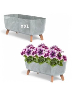 Plantenschaal op pootjes 57 × 23 × 24 cm betonlook, 19,5 L – Betongrijs | Töpferkönig