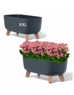 Plantenschaal op pootjes 57 × 23 × 24 cm mat, 19,5 L – Antraciet | Töpferkönig