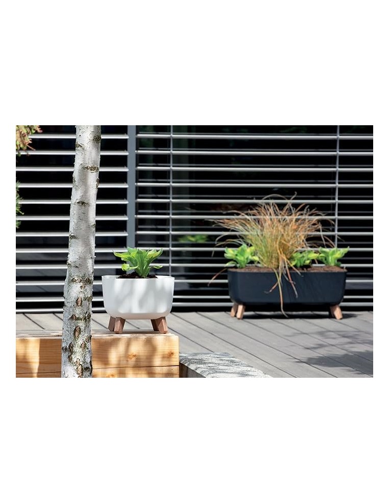 Cuenco para plantas con patas 57 × 23 × 24 cm mate, 19,5 L – Antracita | Töpferkönig