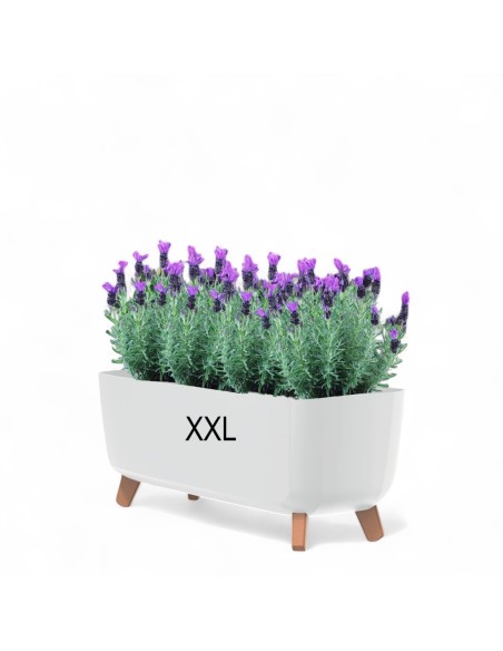 Cuenco para plantas con patas 57 × 23 × 24 cm mate, 19,5 L – Blanco | Töpferkönig