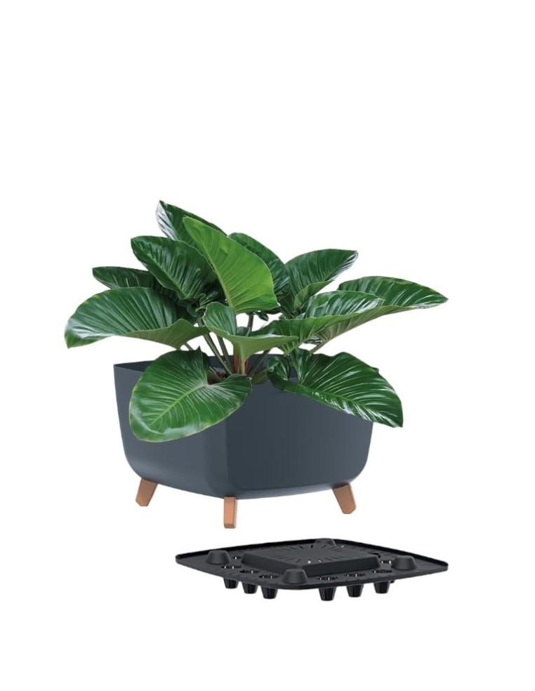 Ciotola per piante quadrata con piedini 23 × 23 × 19 cm opaca, 6 L – Antracite | Töpferkönig