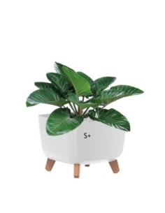 Ciotola per piante quadrata con piedini 23 × 23 × 19 cm opaca, 6 L – Bianco | Töpferkönig