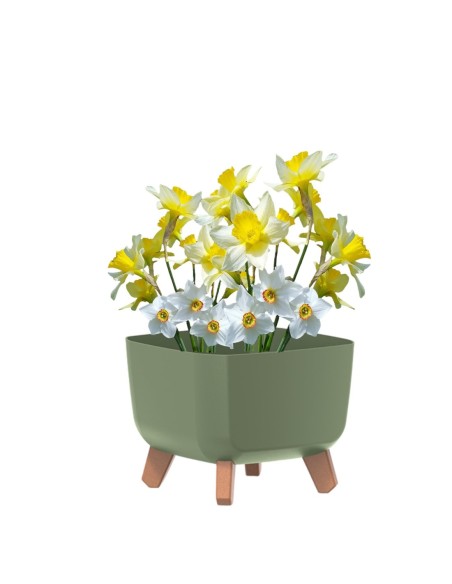 Ciotola per piante quadrata con piedini 23 × 23 × 19 cm opaca, 6 L – Verde | Töpferkönig