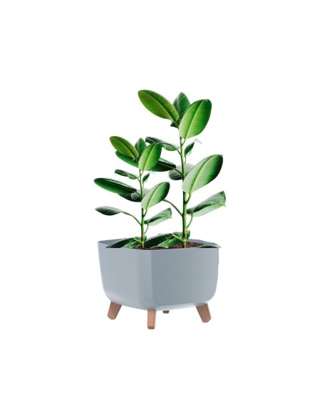 Cuenco para plantas cuadrado con patas 29 × 29 × 22 cm mate, 11 L – Gris | Töpferkönig