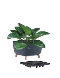 Cuenco para plantas cuadrado con patas 38 × 38 × 27 cm mate, 25 L – Antracita | Töpferkönig