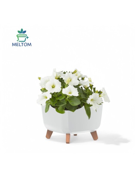 Ciotola per piante quadrata con piedini 29 × 29 × 22 cm opaca, 11 L – Bianco | Töpferkönig
