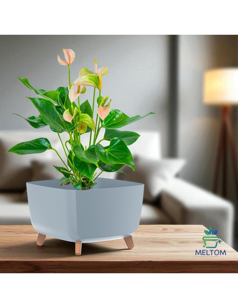 Cuenco para plantas cuadrado con patas 38 × 38 × 27 cm mate, 25 L – Gris | Töpferkönig