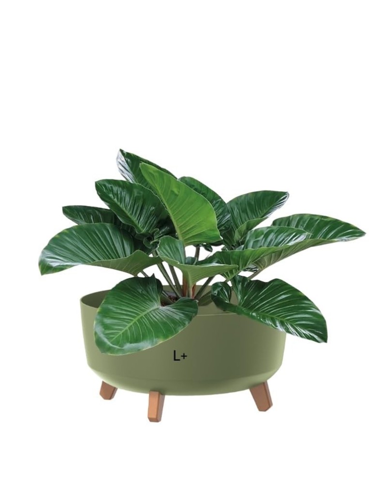 Pflanzschale rund mit Füßen Ø39 × 27 cm Matt, 21,5 L – Grün | Töpferkönig
