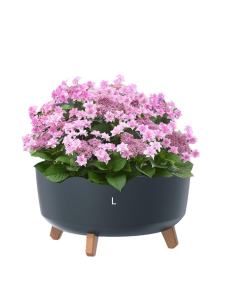 Plantenschaal rond op pootjes Ø38 × 21 cm mat, 14,3 L – Antraciet | Töpferkönig