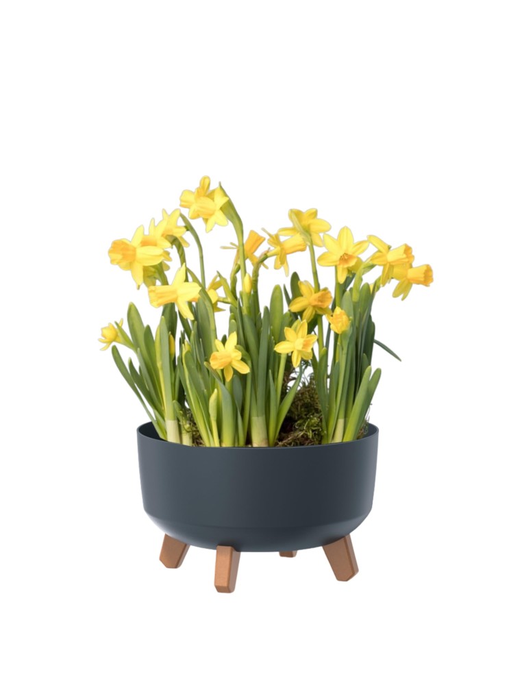 Pflanzschale rund mit Füßen Ø38 × 21 cm Matt, 14,3 L – Anthrazit | Töpferkönig