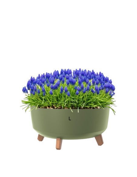 Pflanzschale rund mit Füßen Ø38 × 21 cm Matt, 14,3 L – Grün | Töpferkönig