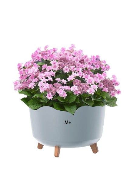Vasque ronde sur pieds Ø29 × 22 cm mate, 9,8 L – Gris | Töpferkönig