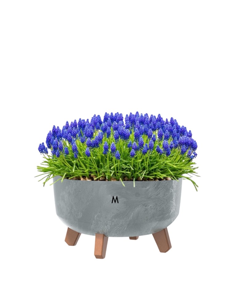 Plantenschaal rond op pootjes Ø28 × 18 cm betonlook, 6,8 L – Betongrijs | Töpferkönig