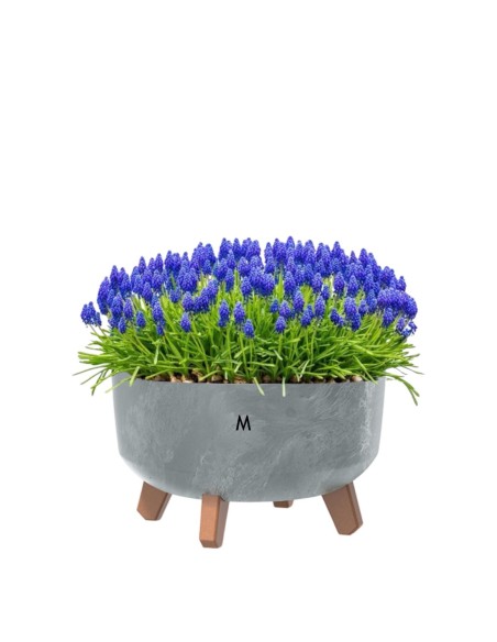 Pflanzschale rund mit Füßen Ø28 × 18 cm Beton-Optik, 6,8 L – Beton Grau | Töpferkönig
