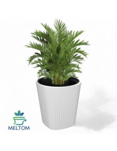 Plantenbak rond L hoog Ø39 × 41 cm mat, 37 L – Wit | Töpferkönig 2
