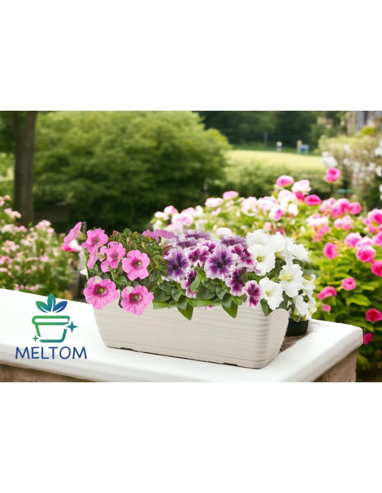 Jardinière de balcon avec support et soucoupe 39 × 17 × 15 cm relief ondulé, 5,7 L – Gris | Töpferkönig