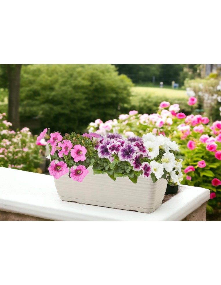 Jardinière de balcon avec soucoupe 49 × 17 × 15 cm relief ondulé, 7,4 L – Gris | Töpferkönig